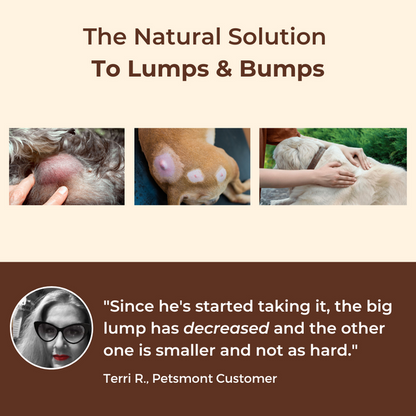 PETSMONT BUDDY GUARD: The Supplement For Dogs With Lumps & Bumps